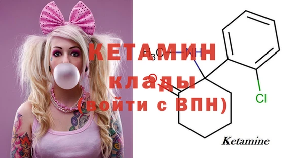 гашик Гусев
