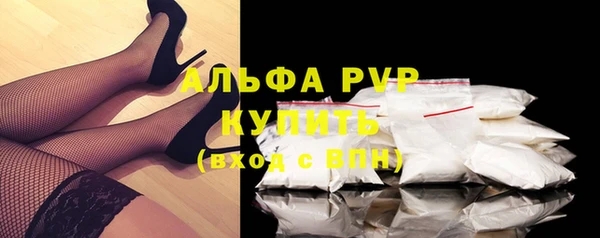 гашик Гусев