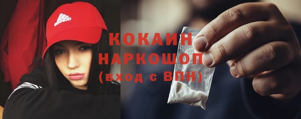 гидра Гусь-Хрустальный