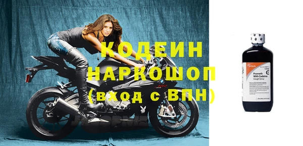 гашик Гусев