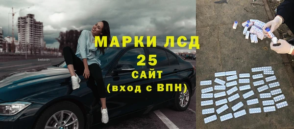 гашик Гусев