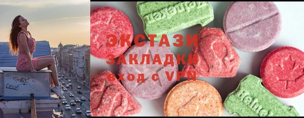 гашик Гусев