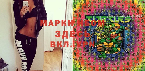 гашик Гусев