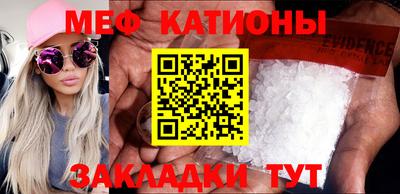 стаф Кингисепп