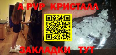стаф Кингисепп