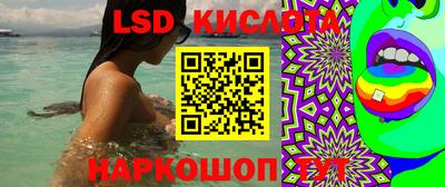 прущие грибы Кинель