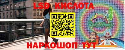 прущие грибы Кинель