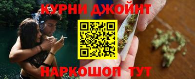 стаф Кингисепп