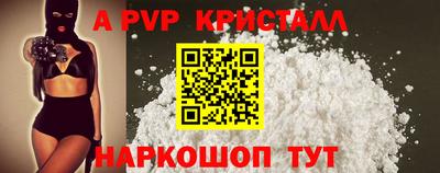 стаф Кингисепп