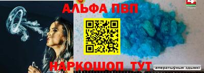 стаф Кингисепп