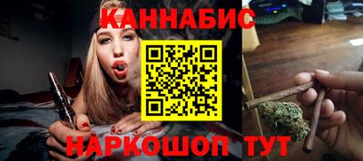 стаф Кингисепп