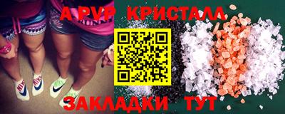 стаф Кингисепп