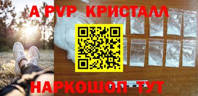 стаф Кингисепп