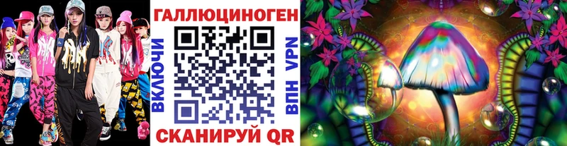 Галлюциногенные грибы Psilocybine cubensis  наркотики  Междуреченск 