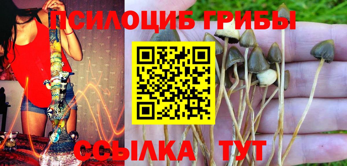 Междуреченск  Галлюциногенные грибы MAGIC MUSHROOMS  Псилоцибиновые грибы мицелий  Вход с VPN 